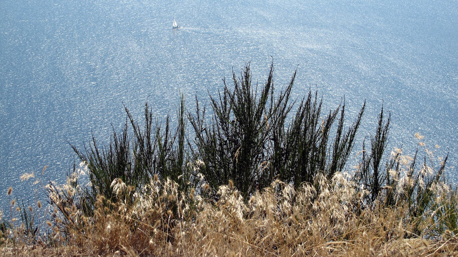  Galiano Island, B.C.  