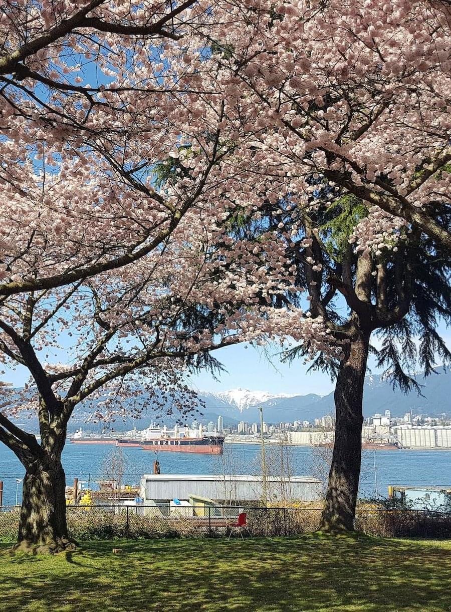 glenn clavier montreal spring